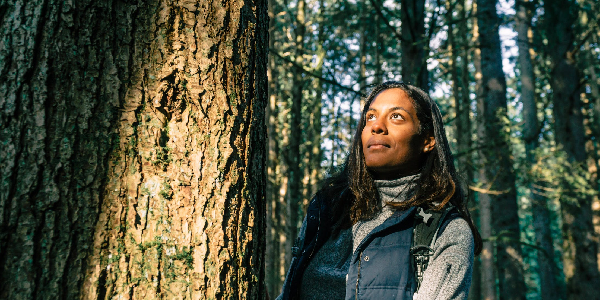 A woman next to a tree in a forest admiring nature