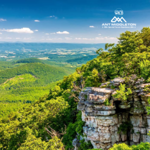 A stunning view from an outcrop at George Washington National Park. The perfect location for Elite Special Forces Leadership DC, USA